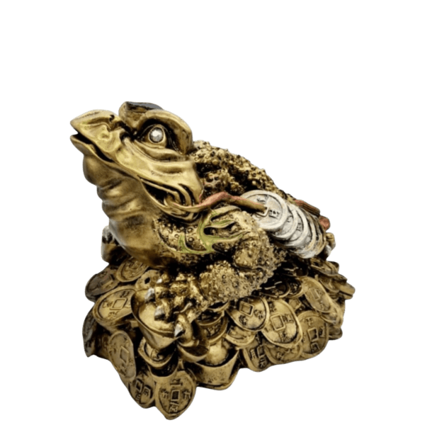 Rana De La Suerte 25cm