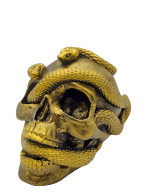 Cráneo Con Serpientes 9cm