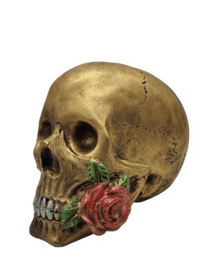Cráneo Rosa Eterna 14cm