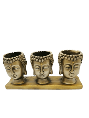 Cabezas De Buda Macetero 12cm
