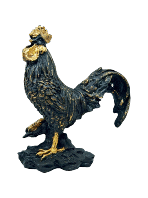 Gallo Esotérico 22cm